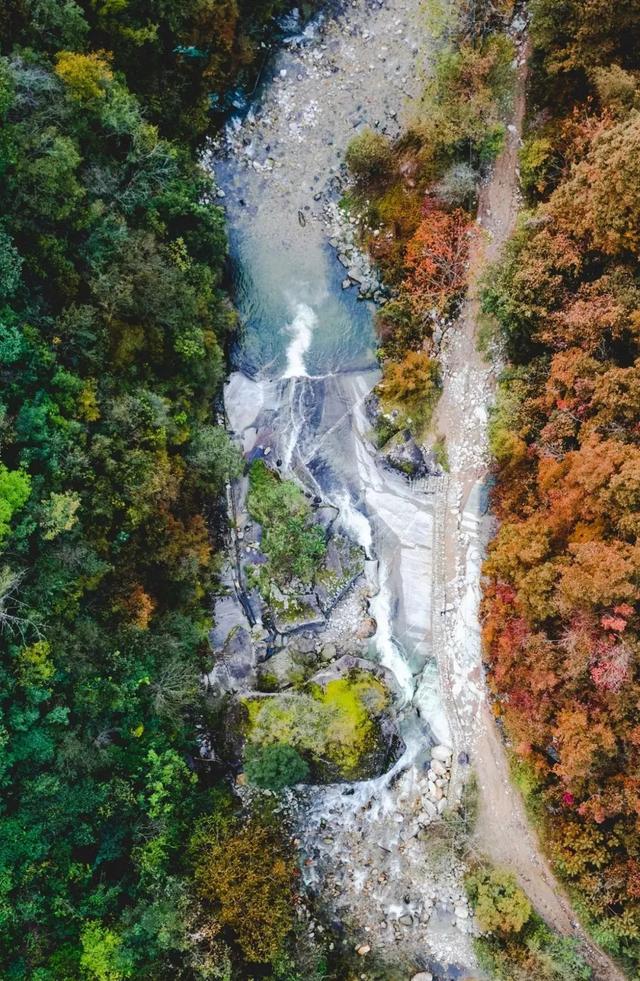 即刻出发！错峰隐居秦岭，解锁完美假期