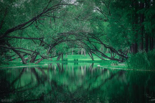 上海值得去的6个公园推荐！全部免费，好看又好玩！你都去过几个