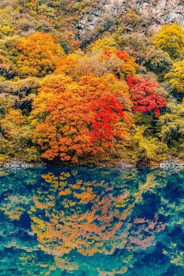 松坪沟的秋天，把油画里的颜色都搬来了吧