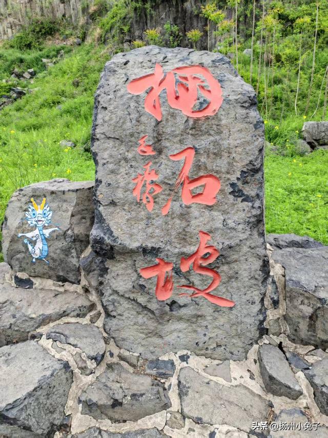 她乐乐地游，我遥遥地观