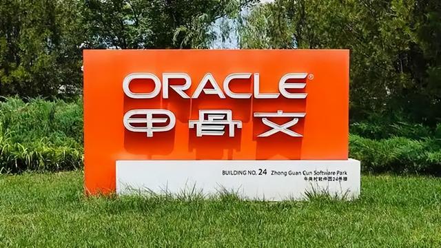 英伟达砸1000亿，甲骨文股价暴涨后，"无限金钱漏洞"被马斯克戳破
