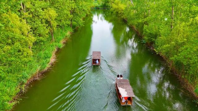 围观！滕州微山湖红荷湿地免门票活动仍在继续，速来打卡！