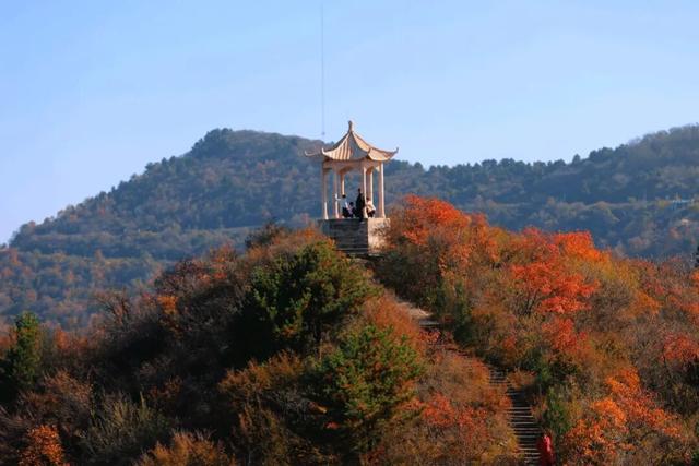 渑池坡头红叶拍摄记：一场迟来的秋日邂逅