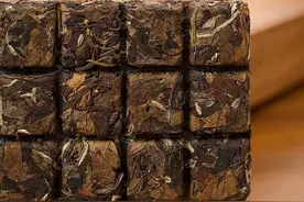 老白茶的“药性”，到底是真是假？一文为你深度解读！图片