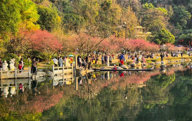 我市各大公园赏花正当时