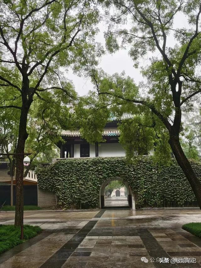 【西安游学之三】文博探秘：西安博物院