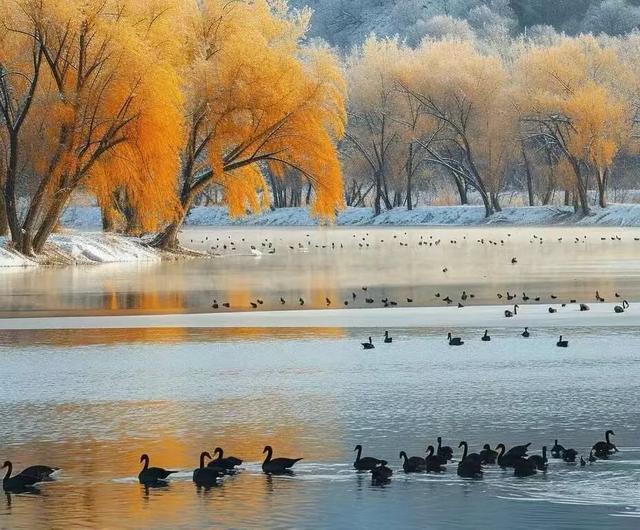 遇见，秋的金黄与冬的银白