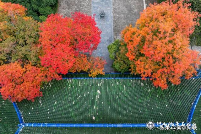 给个准信！盼了又盼的秋日“顶流”全部上线