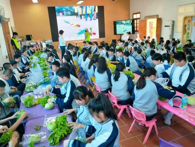 牛耕、捉泥鳅、长桌宴......厦门这片田园,承包你整个夏天的快乐!