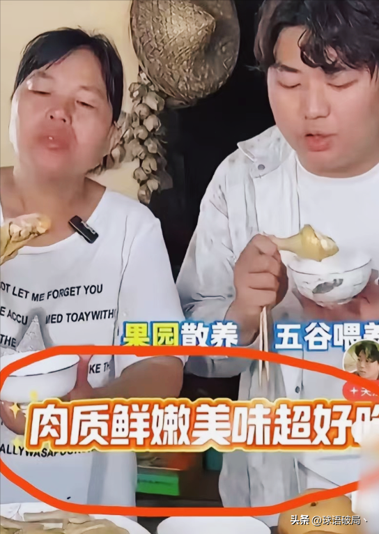 拔出萝卜带出泥，全红婵哥哥的白切鸡事件越闹越大，真相耐人寻味