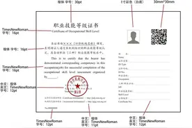 职业技能等级证书全国通用吗？职业资格证书和职业技能等级证书的区别！点击查收！图片