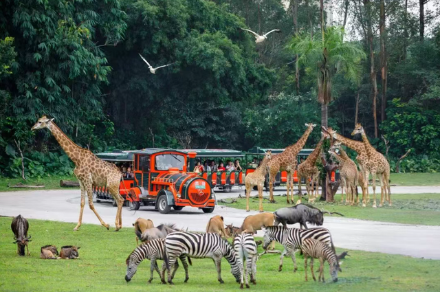 拟举办烟花汇演！非遗、退税、全运福袋……暖冬消费季更多福利→
