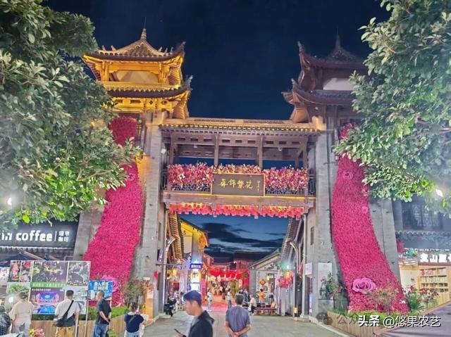 云南行记：楚雄两日