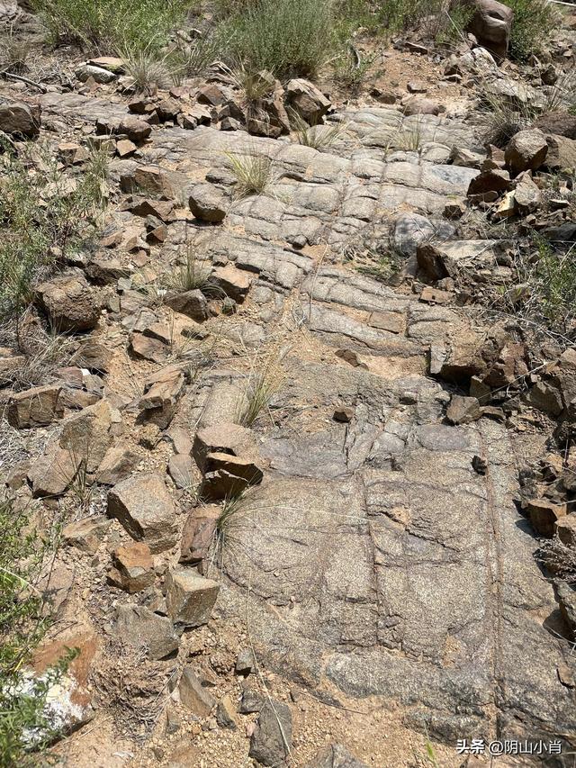 达茂旗达尔罕、百灵庙、乌克忽洞，固阳银号、忽鸡沟田野考察笔记