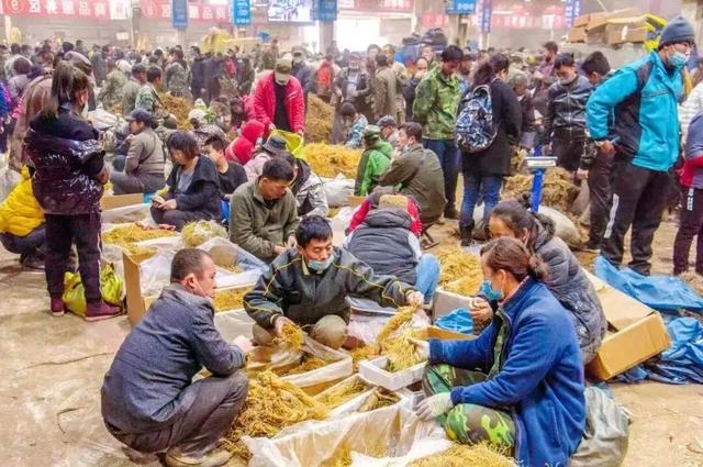 用一场抚松休闲之旅，抓住假期的尾巴！