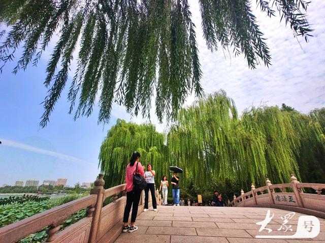 明湖垂柳曼妙多姿 游人如织景致如画