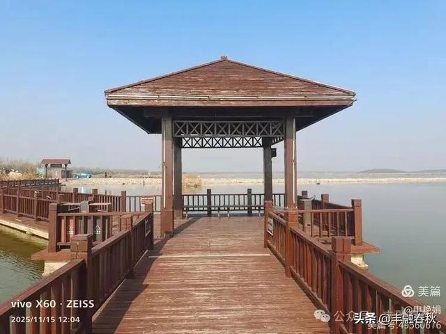 苇风载秋,鹤影映波——河北黄骅南大港湿地的初冬漫游| 申艳娟