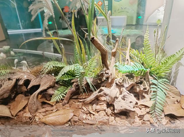 五九时节，观扬州大运河博物馆（下）