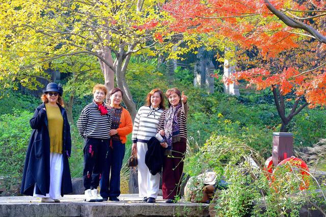 龙光塔下丨断桥与红枫的秋恋