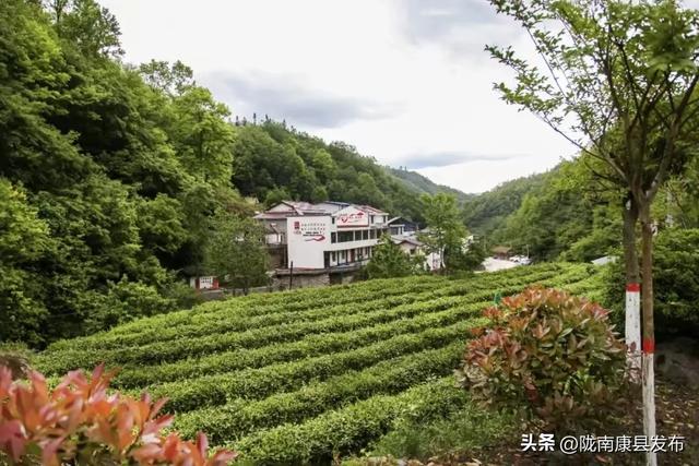 铜钱镇：麓隐山水 寻境桃源 赴一场枕梦江南的悠然之约