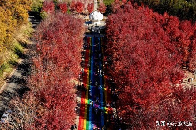 色彩峰值~走进横山公园“枫”景大片！