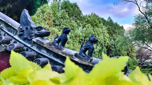 诸君，重阳来此登高赏景可好