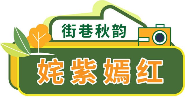 太原市迎泽区：赏在迎泽｜迎泽金秋景如春