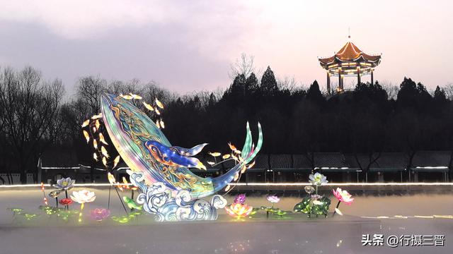 舜帝花海——邂逅一场别具一格的视觉盛宴