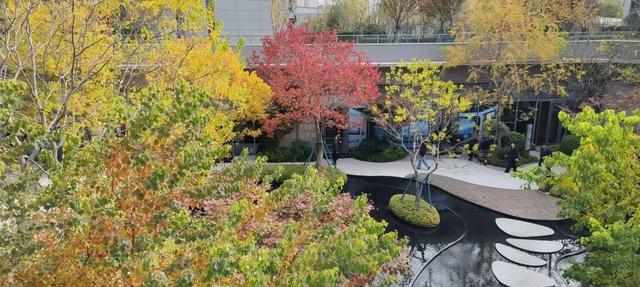 寻美薛城丨这里风景独好！美景尽收眼底，凭“颜值”出圈的社区美景！