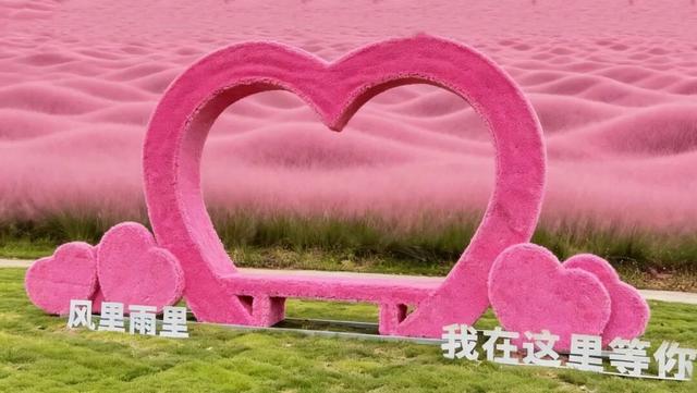 日照！红了！！