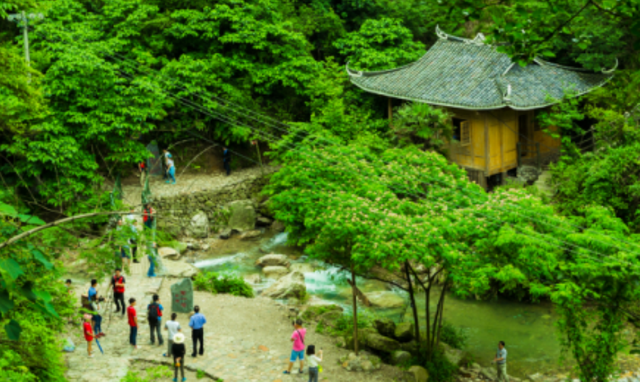 5年倒闭10家4A及以上景区！热门景区，为什么没人去了？