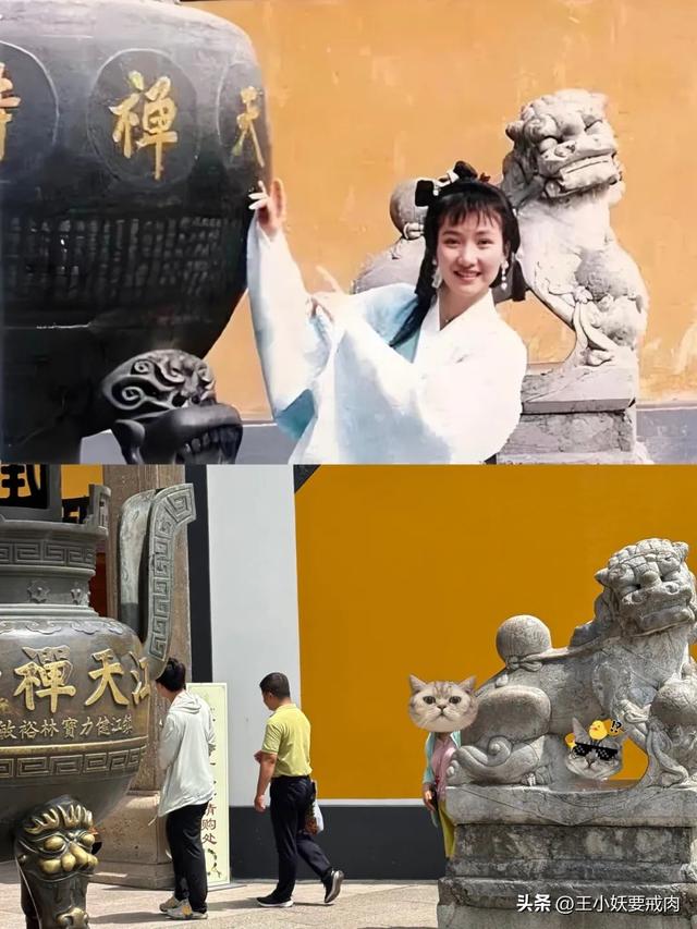 叽里咕噜说啥呢，周末let’s 去镇江！