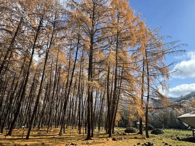 神木垒&达瓦更扎进入美貌开挂模式，请做好相关旅游准备！