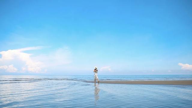 体荟四季｜冲浪、赶海、骑行...江浙沪这些 “动感海岸线”激活你的整个夏天