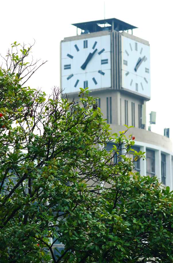 向全萧山人道歉！“上班”迟到了！