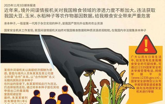千万别大意！稻田里藏境外间谍，偷几粒种子竟能端14亿人饭碗？
