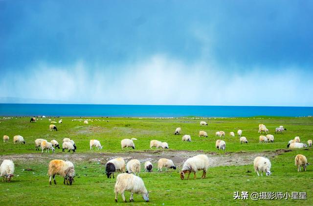 不去内蒙古大草原,你永远不知道它有多绝!