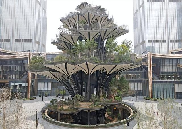 打卡西安“生命之树”空中植物园