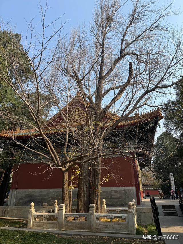 【京城寺记】香山卧佛寺