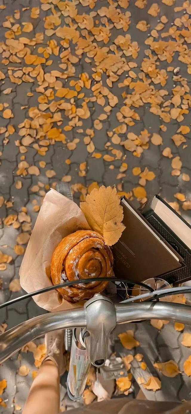 壁纸｜来去都是自由风 好运自会与我重逢