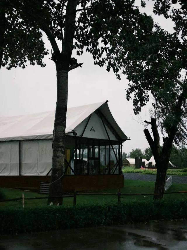 在未央，雨是历史的回响 也是生活的烟火