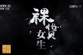 裸贷背后隐藏着什么秘密，为何脱衣就能赚钱，背后套路远超想象？图片