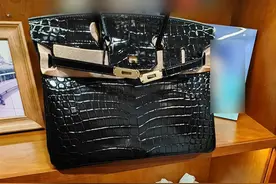 保姆为还外债变卖雇主价值百万元的四只奢侈品包，被刑拘图片