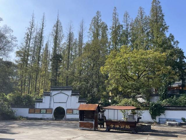 随性骑游六合随拍小景