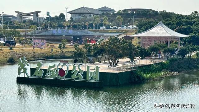 茂名520公园甜蜜上线！荔枝IP+婚俗改革，解锁粤西浪漫新地标