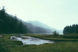 人类能够承受的气温极限有多高？专家来解答！图片