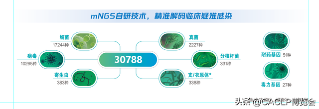万孚、复星、伯杰、华大基因、迪安等企业助力基孔肯雅热病毒检测