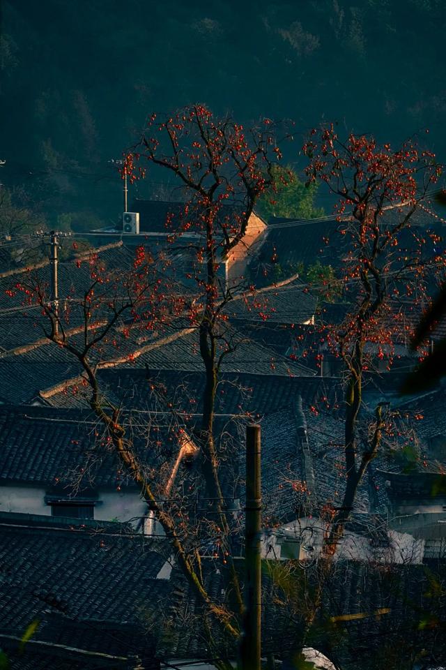 11月旅行地推荐！这13个赏秋地无对手，还藏着国内四大绝美秋色