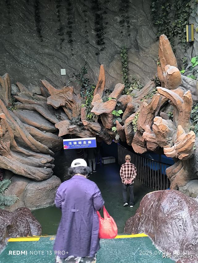 遇见虎滩——寻北之旅（三十六）