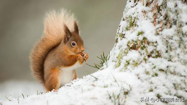 “白天立冬雪堵门，晚上立冬暖烘烘”，今年立冬在哪？早知早准备